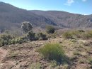 Montée au col de l'Aranyo